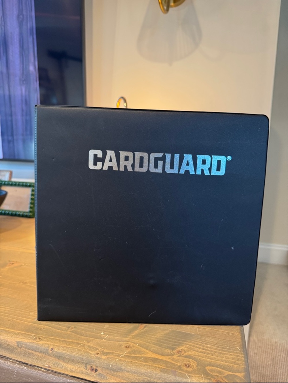 Black Card Storage Binder -